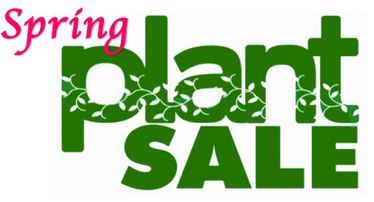 C.C.S. Class of 2021 Spring Plant Sale