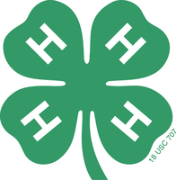 FREE Teen Leader Camp @ 4-H Camp Wabasso