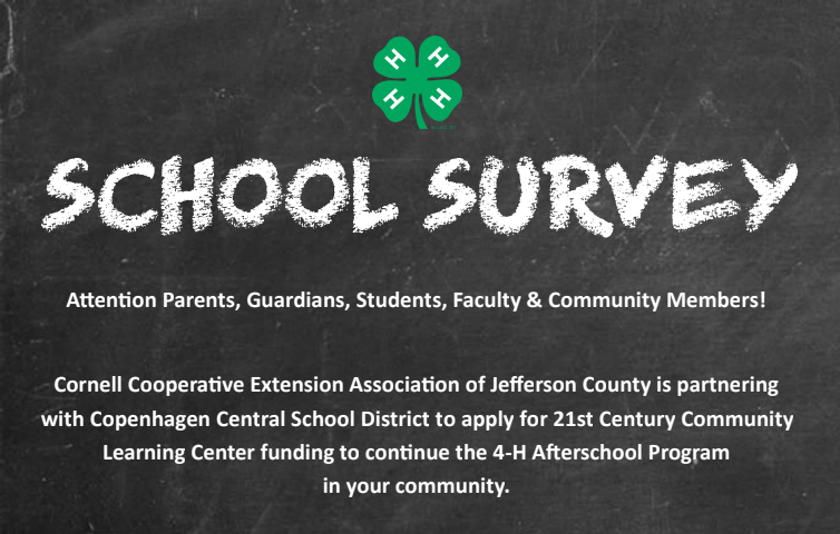 21st Century Grant Survey